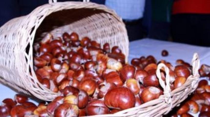 Kestane Hırsızlarını G&uuml;venlik Kamerası Yakalattı