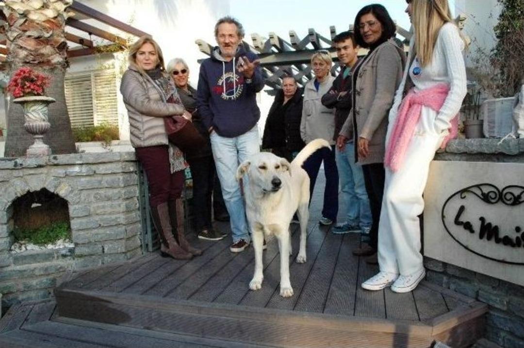 Oteli Koruyan 4 K&ouml;peği Zehirlediler
