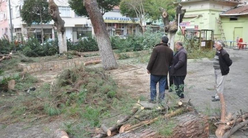 &Ouml;demiş&rsquo;te Ağa&ccedil; Kesimlerine Vatandaşlardan Tepki