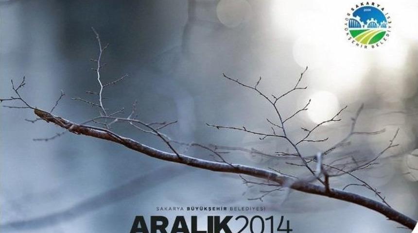 Aralık K&uuml;lt&uuml;r Sanat Etkinlikleri Başlıyor