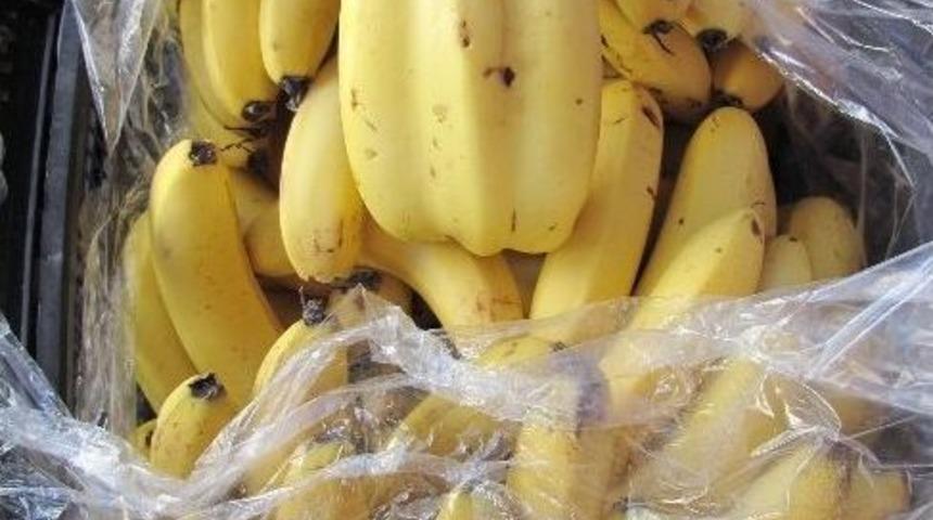 &Uuml;&ccedil;&uuml;z Muzlar Şaşırtıyor