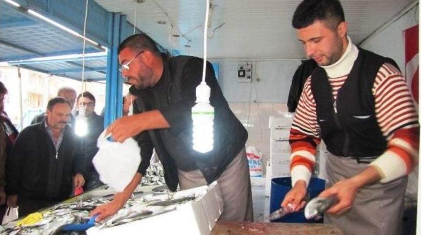 Balık Bollaştı, Fiyatlar D&uuml;şt&uuml;