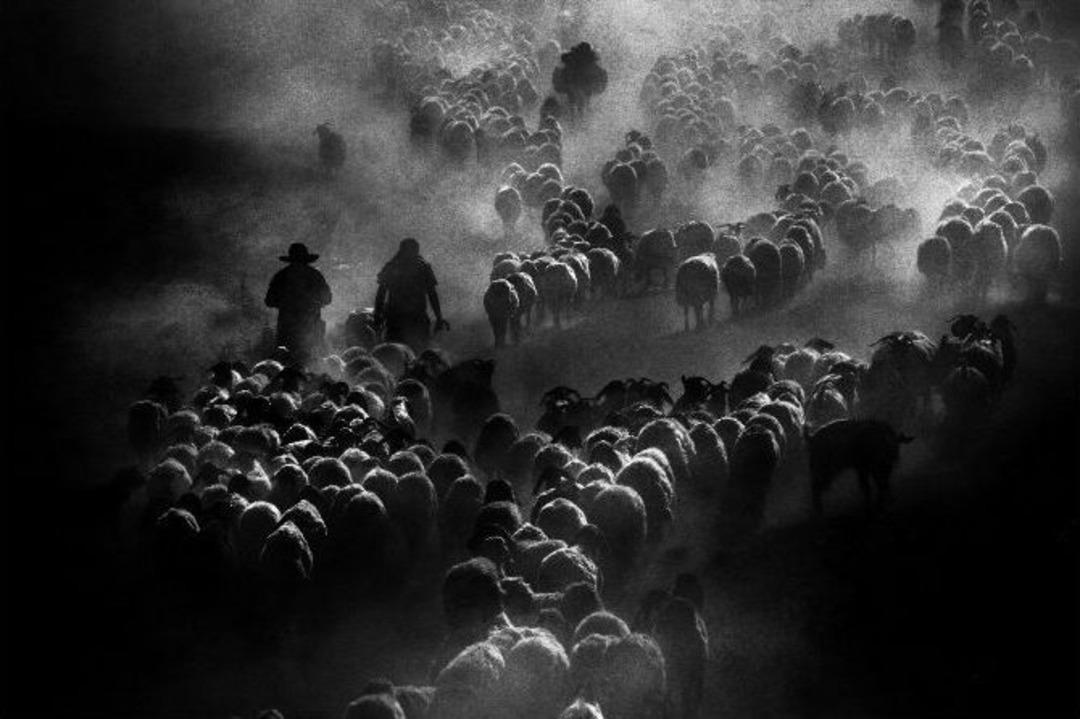 Bursafotofest&rsquo;te B&uuml;y&uuml;k Yarış Sonu&ccedil;landı