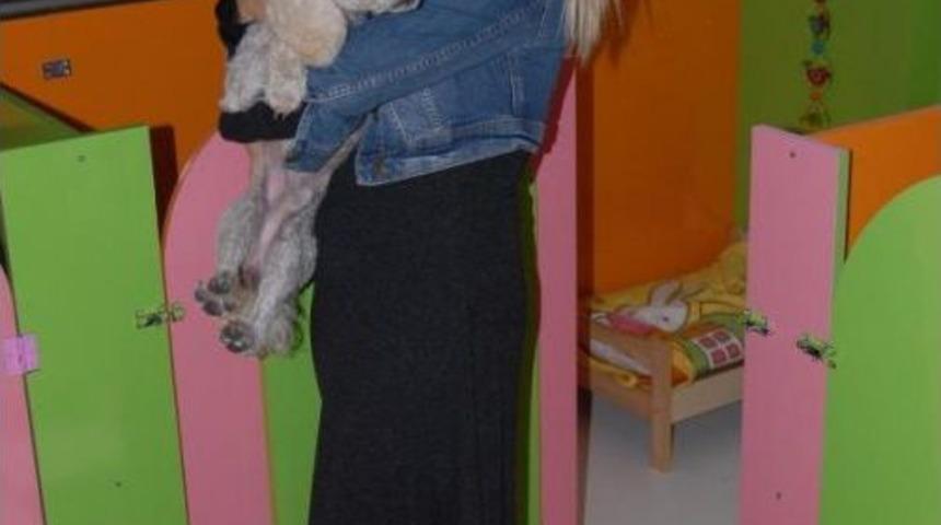 Artık hayvanseverler i&ccedil;in de kafe var