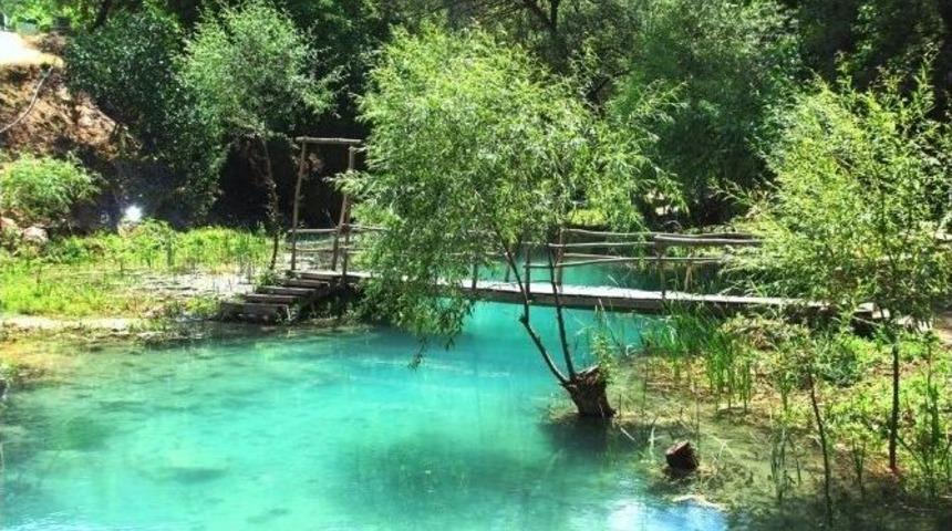 G&uuml;rleyik&rsquo;te Doğa Katliamı Yaşanmasın