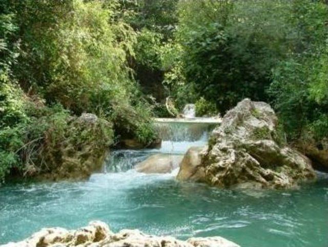 G&uuml;rleyik&rsquo;te Doğa Katliamı Yaşanmasın 1