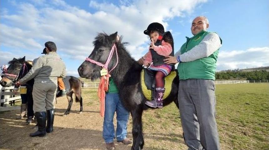 Çocuklar Pony Atlara Binip, Sucuk Yediler