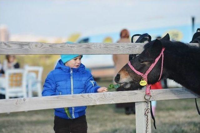 Çocuklar Pony Atlara Binip, Sucuk Yediler