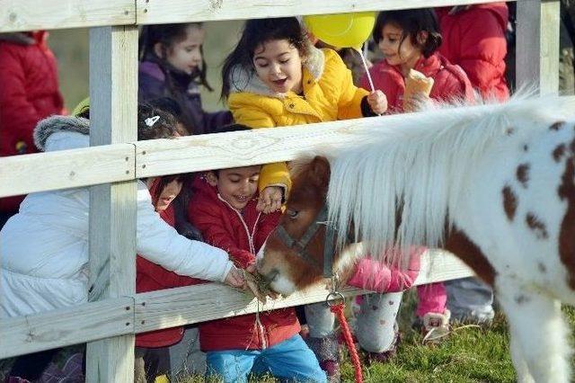 Çocuklar Pony Atlara Binip, Sucuk Yediler