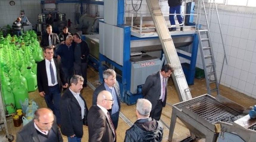 Manisa &Uuml;z&uuml;mleri Avrupa&rsquo;ya İhra&ccedil; Ediliyor