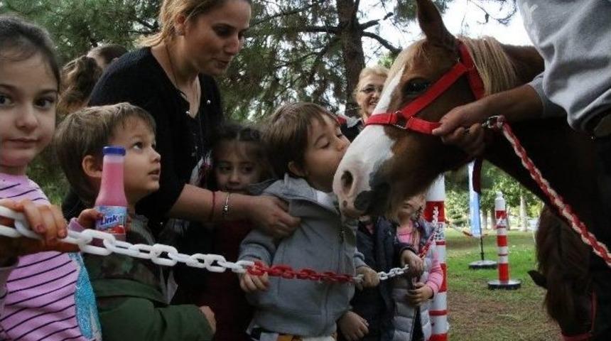 &Ccedil;ocuklar Midillilerle Buluştu