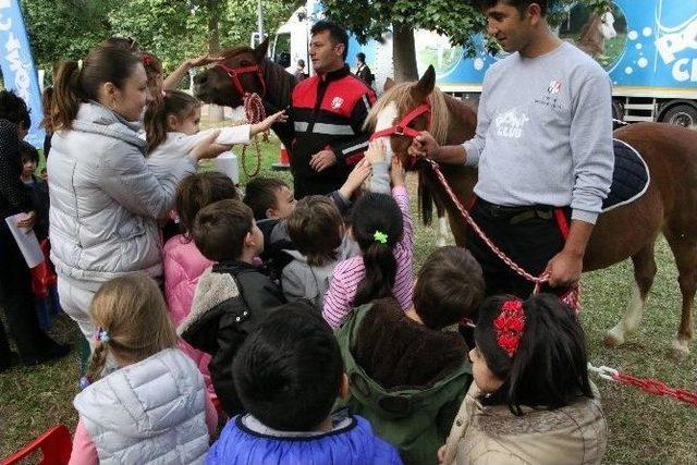 &Ccedil;ocuklar Midillilerle Buluştu 2