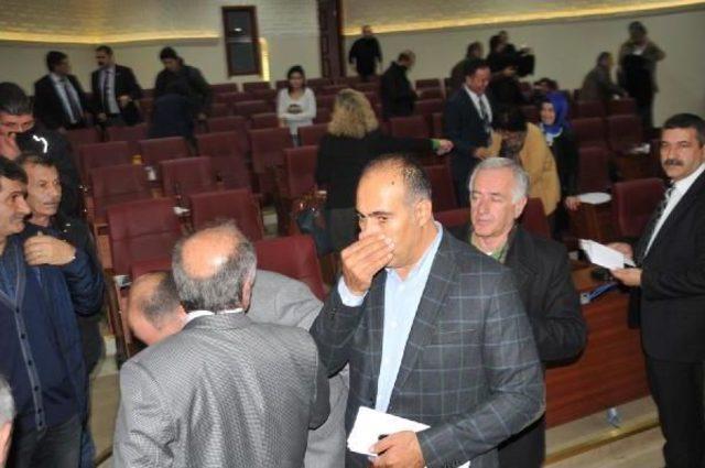 Başkan salman: canım yanarak ağaçların kesilmesi kararını aldım (3) 1