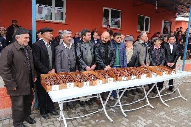 Efeler’de Coşkulu Kestane Festivali 2