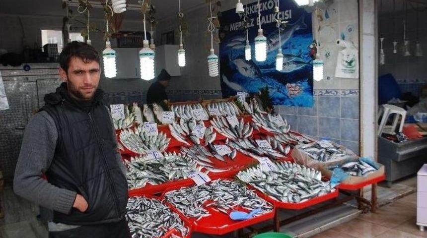 Soğuk Hava Balık Pazarını Vurdu