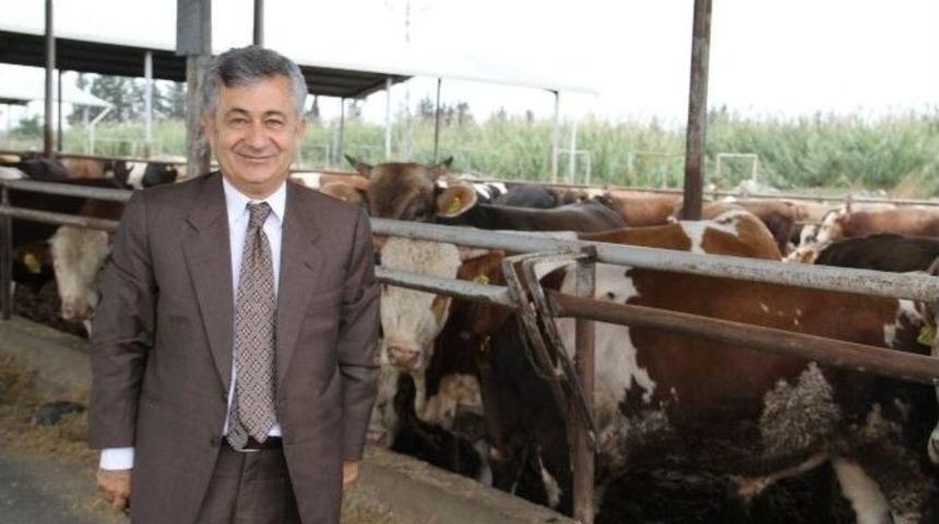 Hayvancılık Sekt&ouml;r&uuml;n&uuml;n T&uuml;rkiye İkincisi Adana&rsquo;da