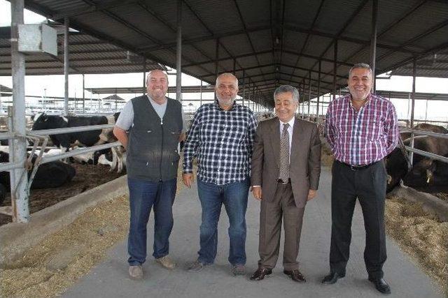 Hayvancılık Sekt&ouml;r&uuml;n&uuml;n T&uuml;rkiye İkincisi Adana&rsquo;da 1