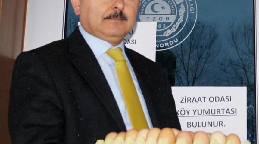 Fındığa alternatif k&ouml;y yumurtasına yoğun talep