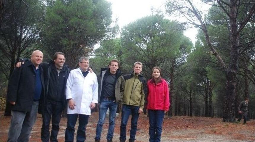 Amerika K&ouml;kenli &Ccedil;am Fıstığı D&uuml;şmanı B&ouml;cekle Biyolojik M&uuml;cadele Başladı