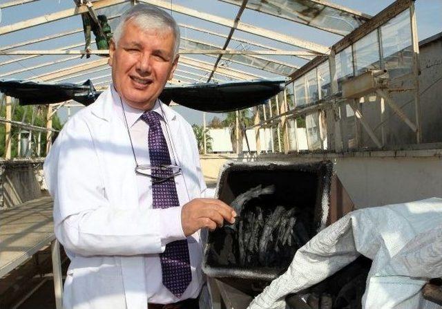 Fakültenin Damında Biyokömür Üretimi 1