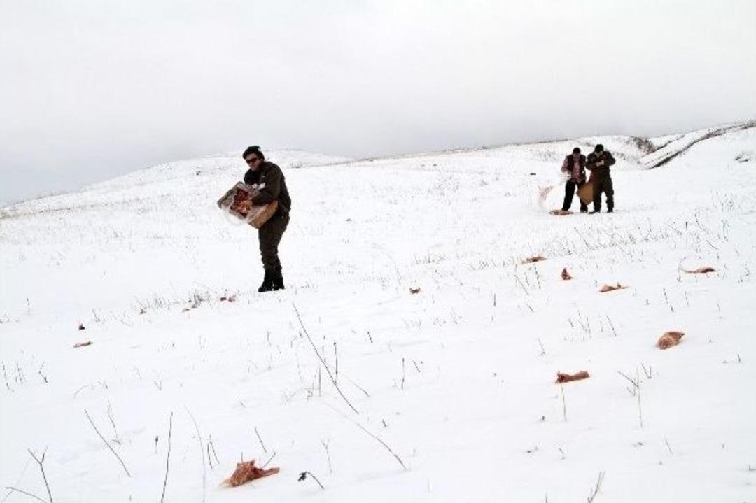 Ardahan&rsquo;da Yaban Hayatına Yem Takviyesi