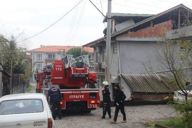 Erenler’de Baca Yangını Büyümeden Önlendi