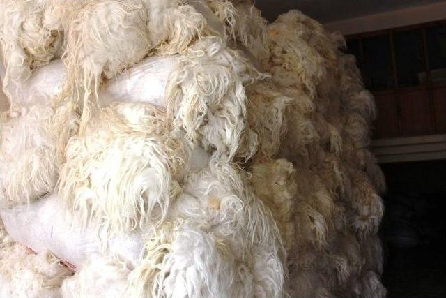 Hayvancılığın Azalması Y&uuml;n Satışını Vurdu 1