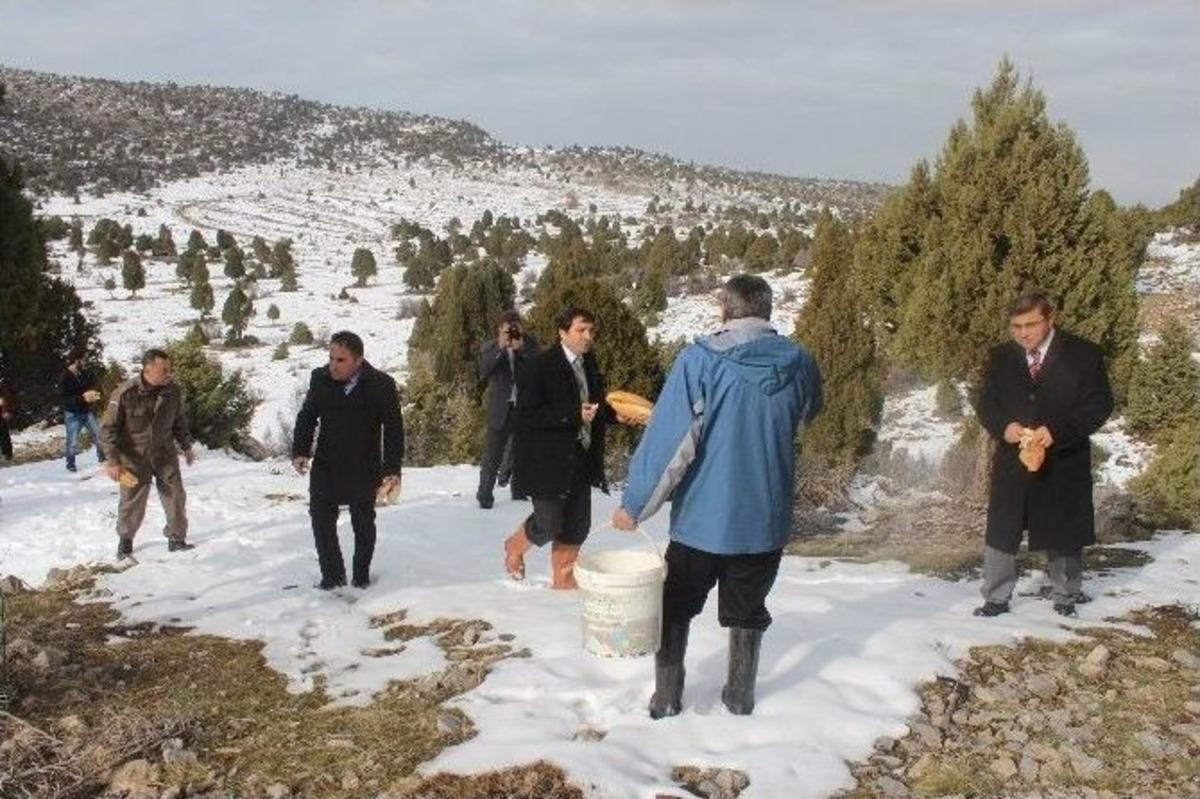 Doğal Hayat İ&ccedil;in &Ouml;nce Yem Sonra Dua