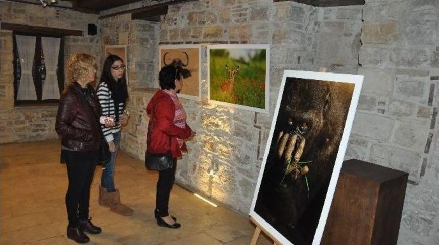 Kuşadası&rsquo;nda &ldquo;afrika Afrika&ldquo; Fotoğraf Sergisi