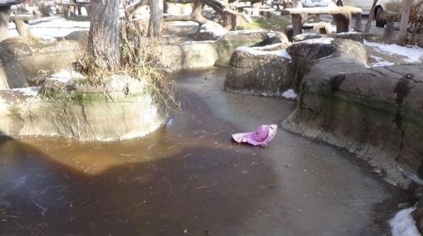 S&uuml;s Havuzları Dondu