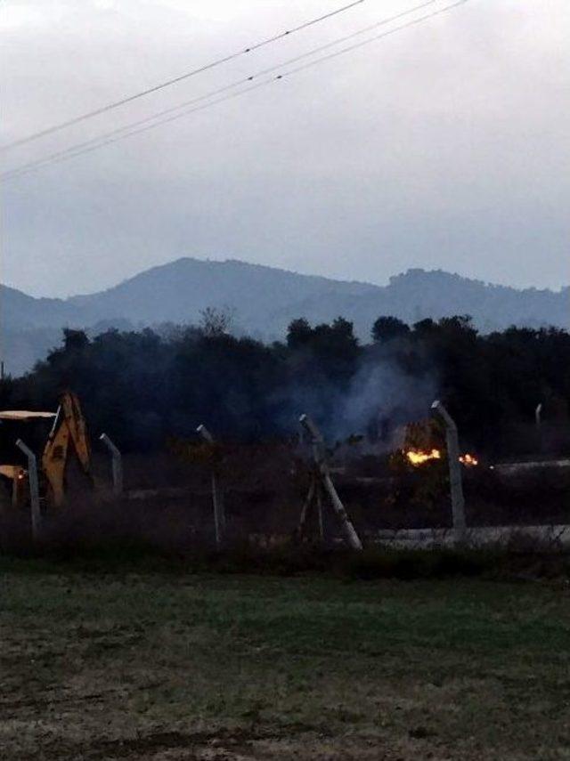 Chp&rsquo;li Gen&ccedil;ler Zeytin Ağa&ccedil;ları Kesilen Yılmazk&ouml;y&rsquo;e Gitti 1