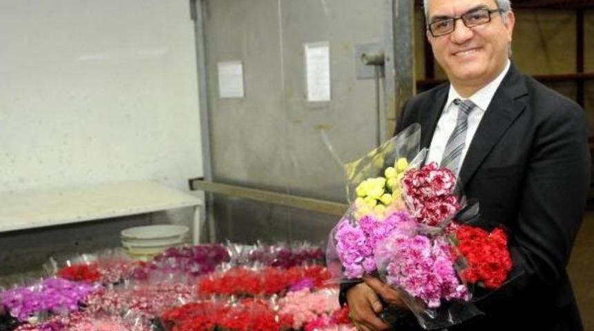 Avrupa'ya noel i&ccedil;in 50 milyon dal t&uuml;rk &ccedil;i&ccedil;eği