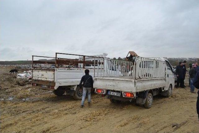 Romanlar Çöp Ayrıştırma İşini Kendilerine Verilmesini İstiyor