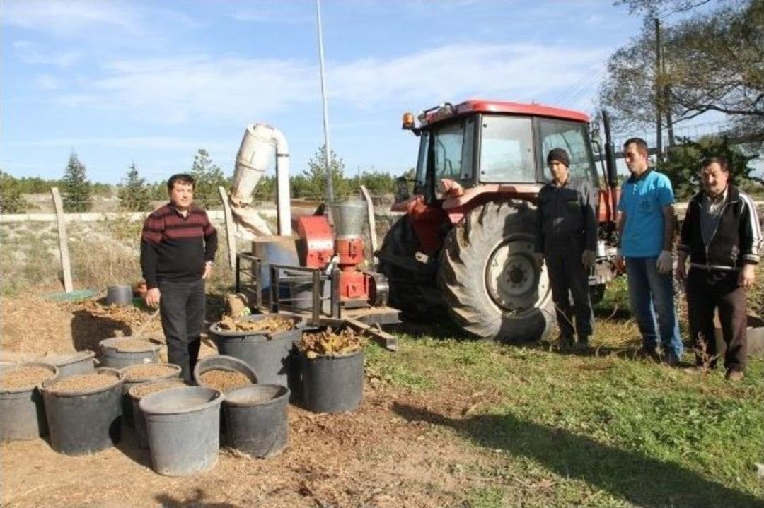 D&ouml;k&uuml;len Yapraklar Enerjiye D&ouml;n&uuml;ş&uuml;yor