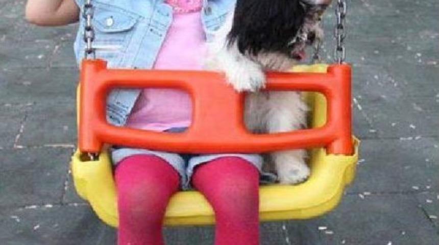 Minik deva k&ouml;peği 'hans'ı arıyor