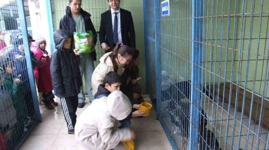 İlkokul &Ouml;ğrencilerinden Hayvan Dostlarına Mama