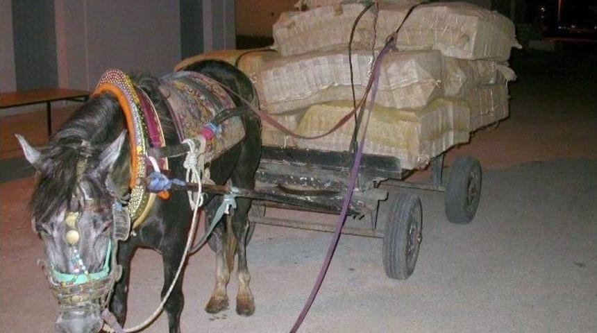 At Arabasıyla Sigara Ka&ccedil;ak&ccedil;ılığı