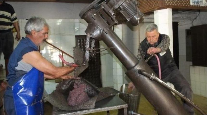 Burhaniye&rsquo;de Asırlık Taş Baskıda Yağ &Ccedil;ıkarılıyor