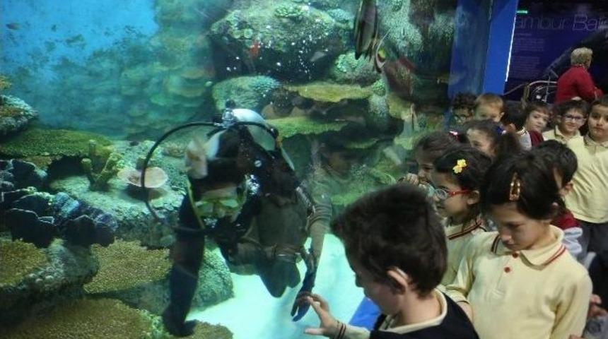 Engelli &Ccedil;ocuklara D&uuml;nya Engelliler G&uuml;n&uuml;&rsquo;nde Sualtı D&uuml;nyası S&uuml;rprizi