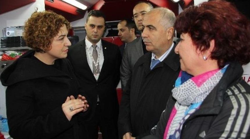 Giresun&rsquo;da K&ouml;k H&uuml;cre Projesi Başlatıldı