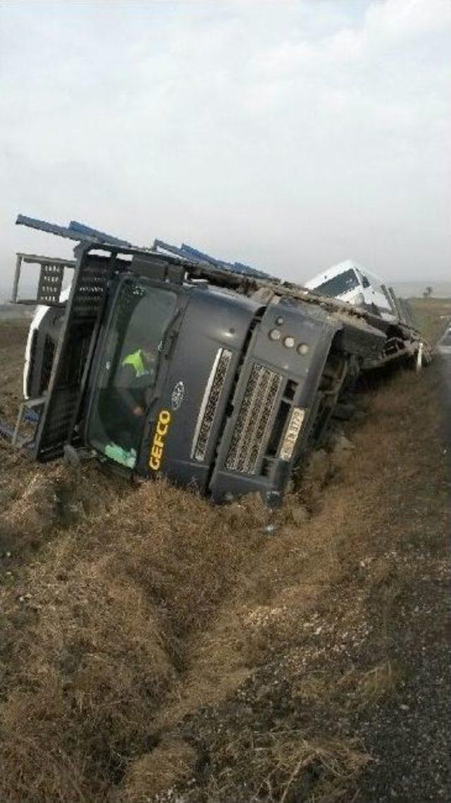 Devrilen Tır&rsquo;daki Sıfır Ara&ccedil;lar Tarlaya Yuvarlandı 1