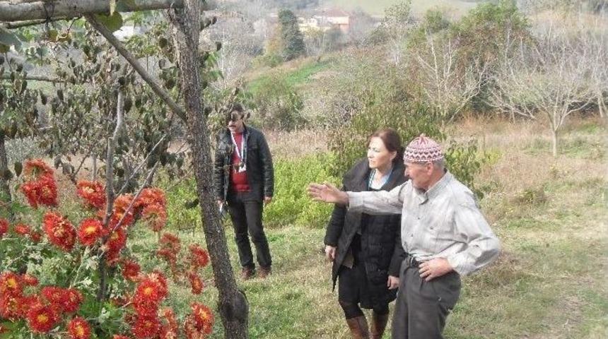 Belediye, K&ouml;yl&uuml;n&uuml;n Ayağına Gidiyor