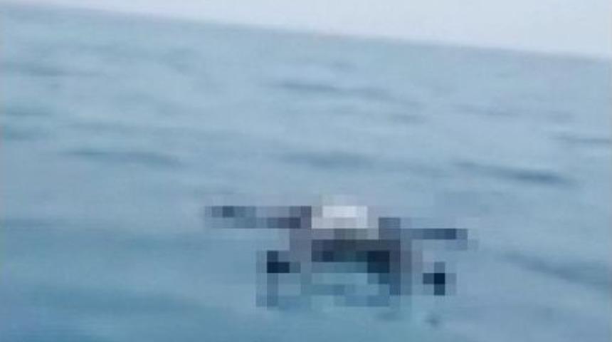 Silifke&rsquo;de Balık&ccedil;ıların Ağına Ceset Takıldı