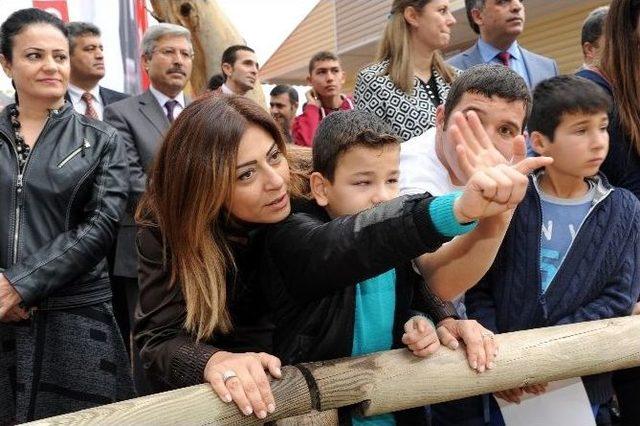 Engelli &Ccedil;ocuklara Atla Terapi 1