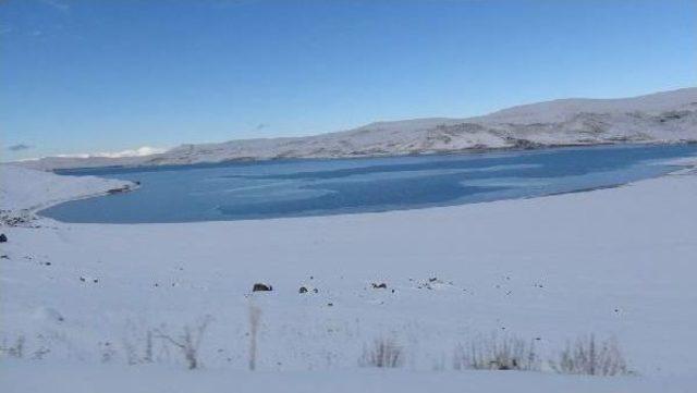 Çıldır gölü buzlanmaya başladı 1