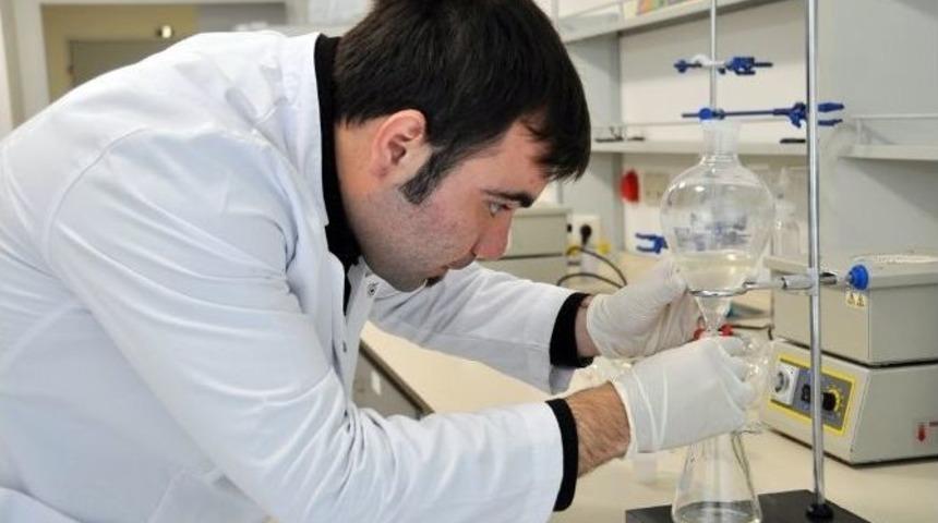 Fındık Kabuğunda Kanser İlacı Maddesi