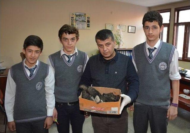 Duyarlı &Ouml;ğrenciler Yaralı K&ouml;peğe Sahip &Ccedil;ıktı 1