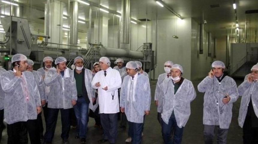 Başkan &Ouml;zaltun Seydibey Tesisleri&rsquo;ni Gezdi