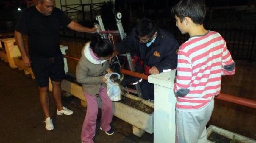 Kanala d&uuml;şen yavru kedi kurtarıldı