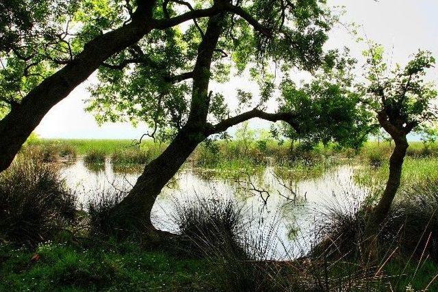 Doğa Koruma Projelerine Avrupa’dan Destek Sözü